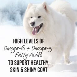 Merrick Backcountry Grain-Free Wet Dog Food Hero's Banquet Stew -Blue Buffalo || ROYAL CANIN || Wellness Sales 117745 PT6. AC SS1800 V1661831282