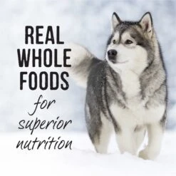 Merrick Backcountry Grain-Free Wet Dog Food Hero's Banquet Stew -Blue Buffalo || ROYAL CANIN || Wellness Sales 117745 PT7. AC SS1800 V1661830382