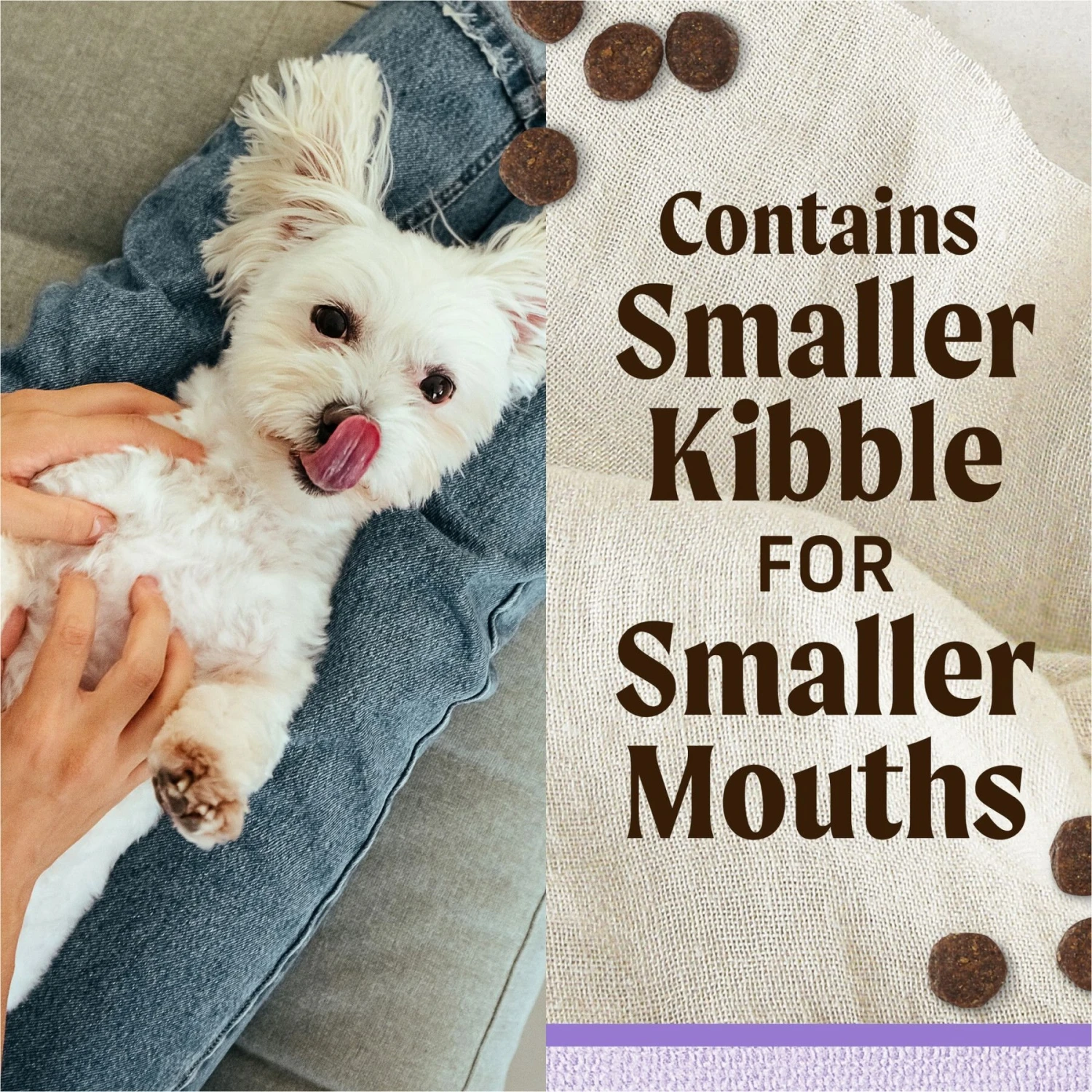 Merrick Lil' Plates Grain-Free Small Breed Dry Dog Food Puppy Real Chicken + Sweet Potato Recipe 6 Merrick Lil' Plates Grain-Free Small Breed Dry Dog Food Puppy Real Chicken + Sweet Potato Recipe - Image 4