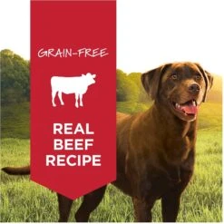 Instinct Original Grain-Free Real Beef Recipe Natural Wet Canned Dog Food -Blue Buffalo || ROYAL CANIN || Wellness Sales 120818 PT1. AC SS1800 V1548865939