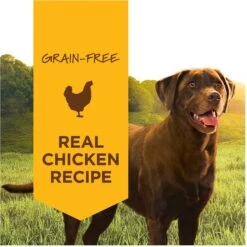 Instinct Original Grain-Free Real Chicken Recipe Natural Wet Canned Dog Food -Blue Buffalo || ROYAL CANIN || Wellness Sales 120819 PT1. AC SS1800 V1548865923