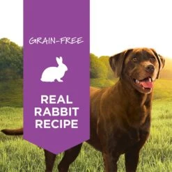 Instinct Original Grain-Free Real Rabbit Recipe Natural Wet Canned Dog Food -Blue Buffalo || ROYAL CANIN || Wellness Sales 120822 PT1. AC SS1800 V1548802636