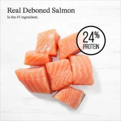 American Journey Protein & Grains Large Breed Salmon, Brown Rice & Vegetables Recipe Dry Dog Food -Blue Buffalo || ROYAL CANIN || Wellness Sales 121223 PT3. AC SS1800 V1668737233