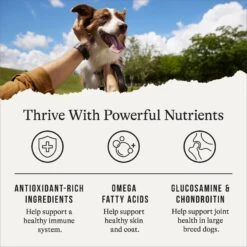 American Journey Protein & Grains Large Breed Salmon, Brown Rice & Vegetables Recipe Dry Dog Food -Blue Buffalo || ROYAL CANIN || Wellness Sales 121223 PT4. AC SS1800 V1668737455