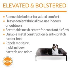 K&H Pet Products Original Bolster Pet Cot Elevated Dog Bed, Chocolate -Blue Buffalo || ROYAL CANIN || Wellness Sales 121246 PT2. AC SS1800 V1620836545