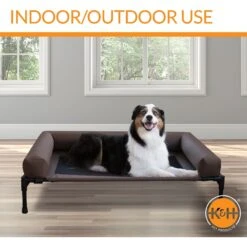 K&H Pet Products Original Bolster Pet Cot Elevated Dog Bed, Chocolate -Blue Buffalo || ROYAL CANIN || Wellness Sales 121246 PT4. AC SS1800 V1620844404