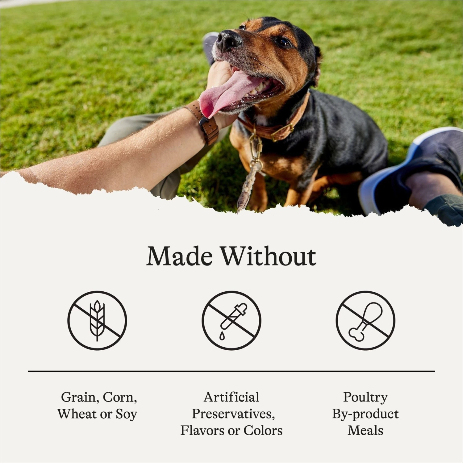 American Journey Limited Ingredient Salmon & Sweet Potato Recipe Grain-Free Dry Dog Food 9 American Journey Limited Ingredient Salmon & Sweet Potato Recipe Grain-Free Dry Dog Food - Image 7