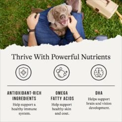 American Journey Limited Ingredient Duck & Sweet Potato Recipe Grain-Free Dry Dog Food 15 American Journey Limited Ingredient Duck & Sweet Potato Recipe Grain-Free Dry Dog Food -Blue Buffalo || ROYAL CANIN || Wellness Sales 121306 PT4. AC SS1800 V1665439170