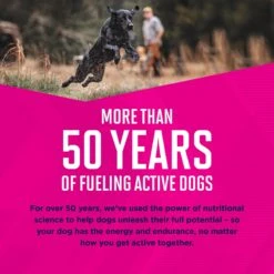 Eukanuba Adult Beef & Vegetable Stew Canned Dog Food -Blue Buffalo || ROYAL CANIN || Wellness Sales 121984 PT3. AC SS1800 V1620166965