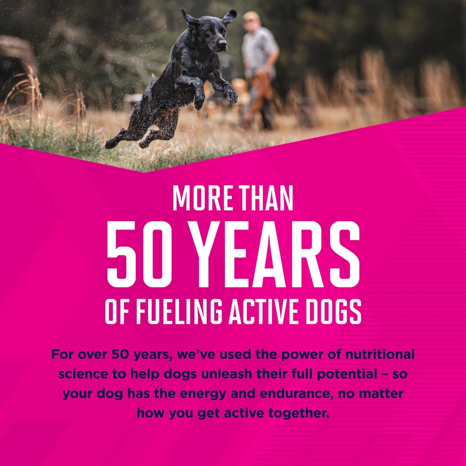 Eukanuba Puppy Mixed Grill Chicken & Beef Dinner In Gravy Canned Dog Food 8 Eukanuba Puppy Mixed Grill Chicken & Beef Dinner In Gravy Canned Dog Food - Image 6