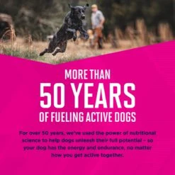 Eukanuba Puppy With Lamb & Rice Canned Dog Food 13 Eukanuba Puppy With Lamb & Rice Canned Dog Food -Blue Buffalo || ROYAL CANIN || Wellness Sales 121996 PT6. AC SS1800 V1494353283