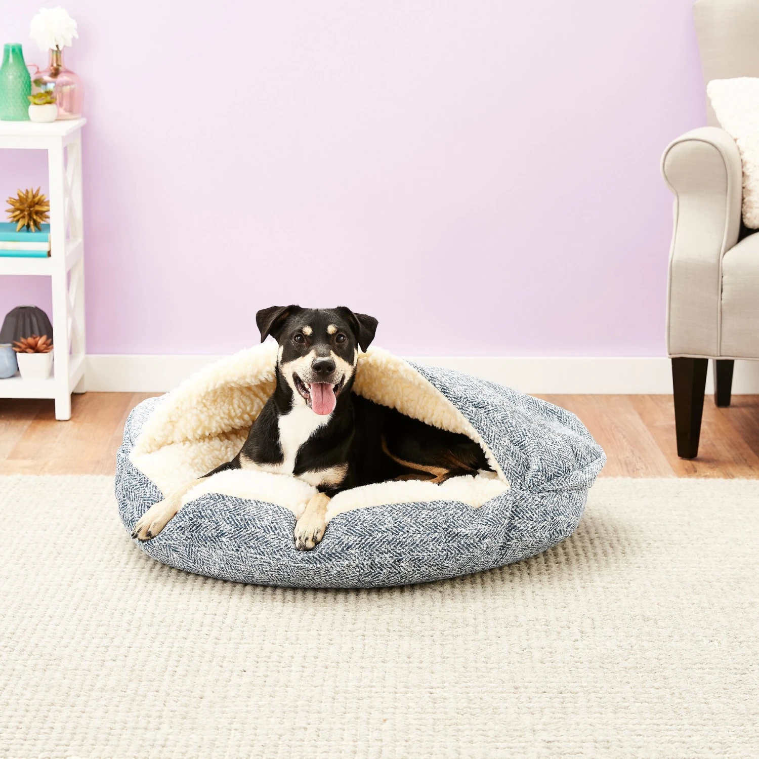 Snoozer Pet Products Microsuede Cozy Cave Dog & Cat Bed 3 Snoozer Pet Products Microsuede Cozy Cave Dog & Cat Bed