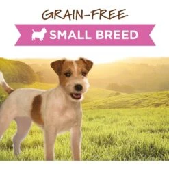 Instinct Original Small Breed Grain-Free Real Beef Recipe Wet Canned Dog Food -Blue Buffalo || ROYAL CANIN || Wellness Sales 122331 PT1. AC SS1800 V1548802680