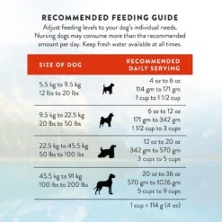 Addiction Mega Complete Balanced Grain-Free Medium To Large Breed Adult Dry Dog Food -Blue Buffalo || ROYAL CANIN || Wellness Sales 123903 PT8. AC SS1800 V1637720495