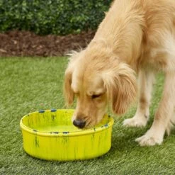 Ruff Dawg Non-Skid Rubber Dog Bowl 11 Ruff Dawg Non-Skid Rubber Dog Bowl -Blue Buffalo || ROYAL CANIN || Wellness Sales 125618 PT2. AC SS1800 V1595522480
