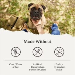 American Journey Protein & Grains Large Breed Chicken, Brown Rice & Vegetables Recipe Dry Dog Food -Blue Buffalo || ROYAL CANIN || Wellness Sales 125807 PT6. AC SS1800 V1680623751