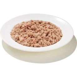 Triumph Meals Of Victory With Salmon In Savory Juices Dog Food Trays 10 Triumph Meals Of Victory With Salmon In Savory Juices Dog Food Trays -Blue Buffalo || ROYAL CANIN || Wellness Sales 126274 PT2. AC SS1800 V1515005578