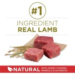 Purina ONE Natural SmartBlend Lamb & Rice Formula Dry Dog Food -Blue Buffalo || ROYAL CANIN || Wellness Sales 126355 PT2. AC SS1800 V1676319354