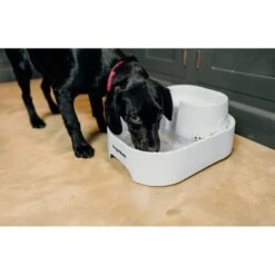 Dog Mate Large Fresh Water Plastic Dog & Cat Fountain, 192-oz 13 Dog Mate Large Fresh Water Plastic Dog & Cat Fountain, 192-oz -Blue Buffalo || ROYAL CANIN || Wellness Sales 127457 PT3. AC SS1800 V1663712299