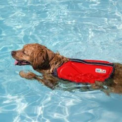 Outward Hound Neoprene Dawson Swimmer Dog Life Jacket -Blue Buffalo || ROYAL CANIN || Wellness Sales 127807 PT5. AC SS1800 V1636516376