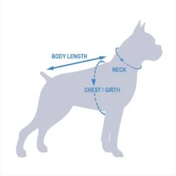 Outward Hound Neoprene Dawson Swimmer Dog Life Jacket -Blue Buffalo || ROYAL CANIN || Wellness Sales 127807 PT8. AC SS1800 V1539800828