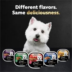 Cesar Loaf In Sauce Variety Pack Grain-Free Small Breed Adult Wet Dog Food Trays -Blue Buffalo || ROYAL CANIN || Wellness Sales 128531 PT7. AC SS1800 V1695666299