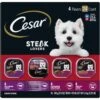 Cesar Steak Lovers Variety Pack Adult Wet Dog Food Trays -Blue Buffalo || ROYAL CANIN || Wellness Sales 128534 MAIN. AC SS1800 V1695653199