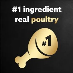 Cesar Poultry Lovers Variety Pack Small Breed Adult Wet Dog Food Trays -Blue Buffalo || ROYAL CANIN || Wellness Sales 128541 PT3. AC SS1800 V1695662182