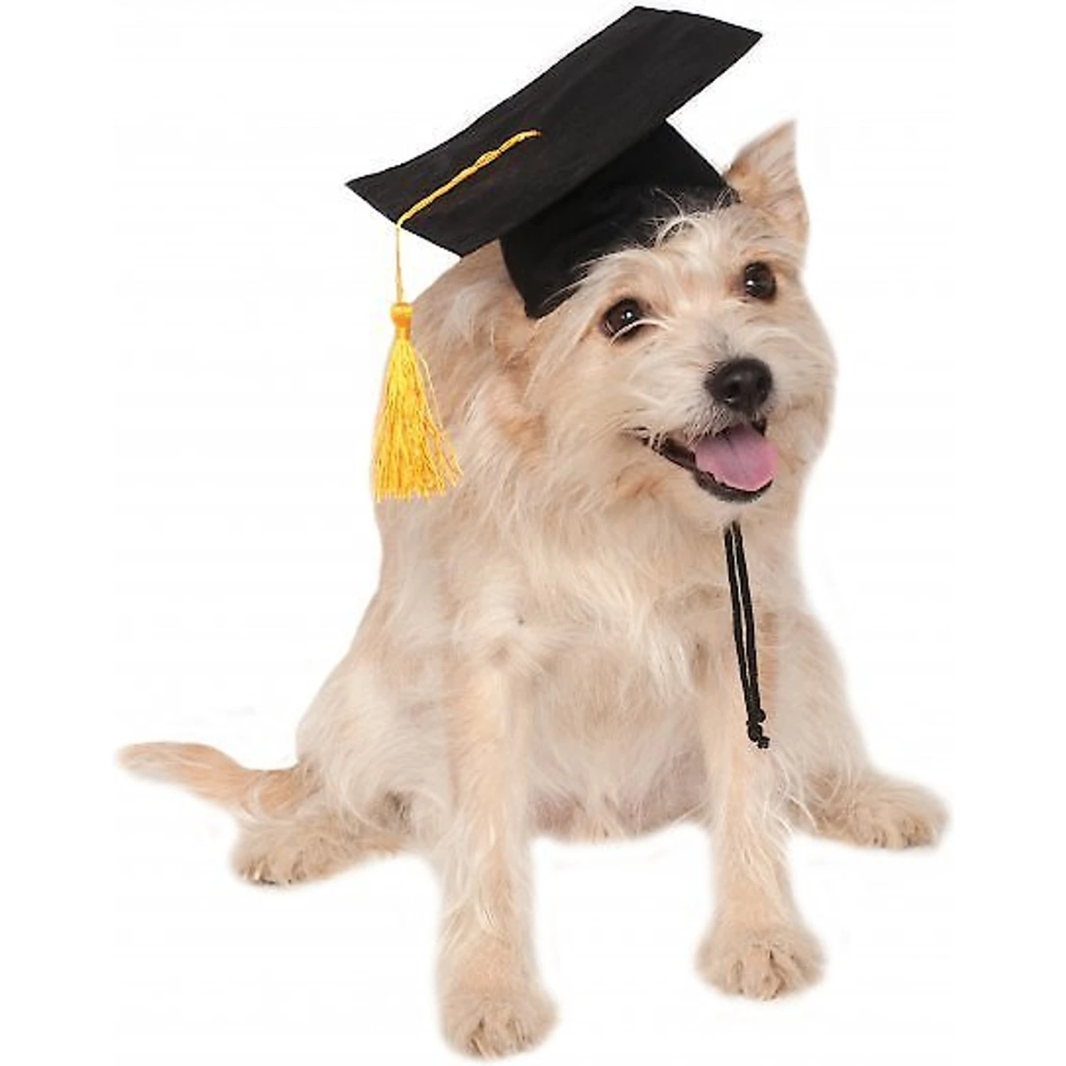 Rubie's Costume Company Graduation Hat Dog & Cat Costume 3 Rubie's Costume Company Graduation Hat Dog & Cat Costume