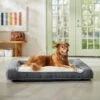 Frisco Plush Orthopedic Bolster Dog Bed W/Removable Cover 1 Frisco Plush Orthopedic Bolster Dog Bed W/Removable Cover -Blue Buffalo || ROYAL CANIN || Wellness Sales 129511 MAIN. AC SS1800 V1674157635
