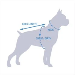 Rubie's Costume Company Hula Girl Dog & Cat Costume -Blue Buffalo || ROYAL CANIN || Wellness Sales 130390 PT8. AC SS1800 V1541183724