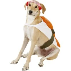 Rubie's Costume Company Sushi Dog & Cat Costume -Blue Buffalo || ROYAL CANIN || Wellness Sales 130568 PT4. AC SS1800 V1539296335