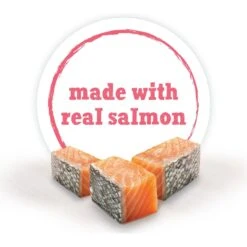 Purina Beneful IncrediBites With Salmon, Tomatoes, Carrots & Wild Rice Canned Dog Food 14 Purina Beneful IncrediBites With Salmon, Tomatoes, Carrots & Wild Rice Canned Dog Food -Blue Buffalo || ROYAL CANIN || Wellness Sales 131002 PT3. AC SS1800 V1700161660