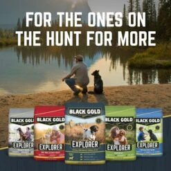 Black Gold Explorer Mature 7+ Formula Dry Dog Food, 40-lb Bag -Blue Buffalo || ROYAL CANIN || Wellness Sales 133069 PT7. AC SS1800 V1652768490