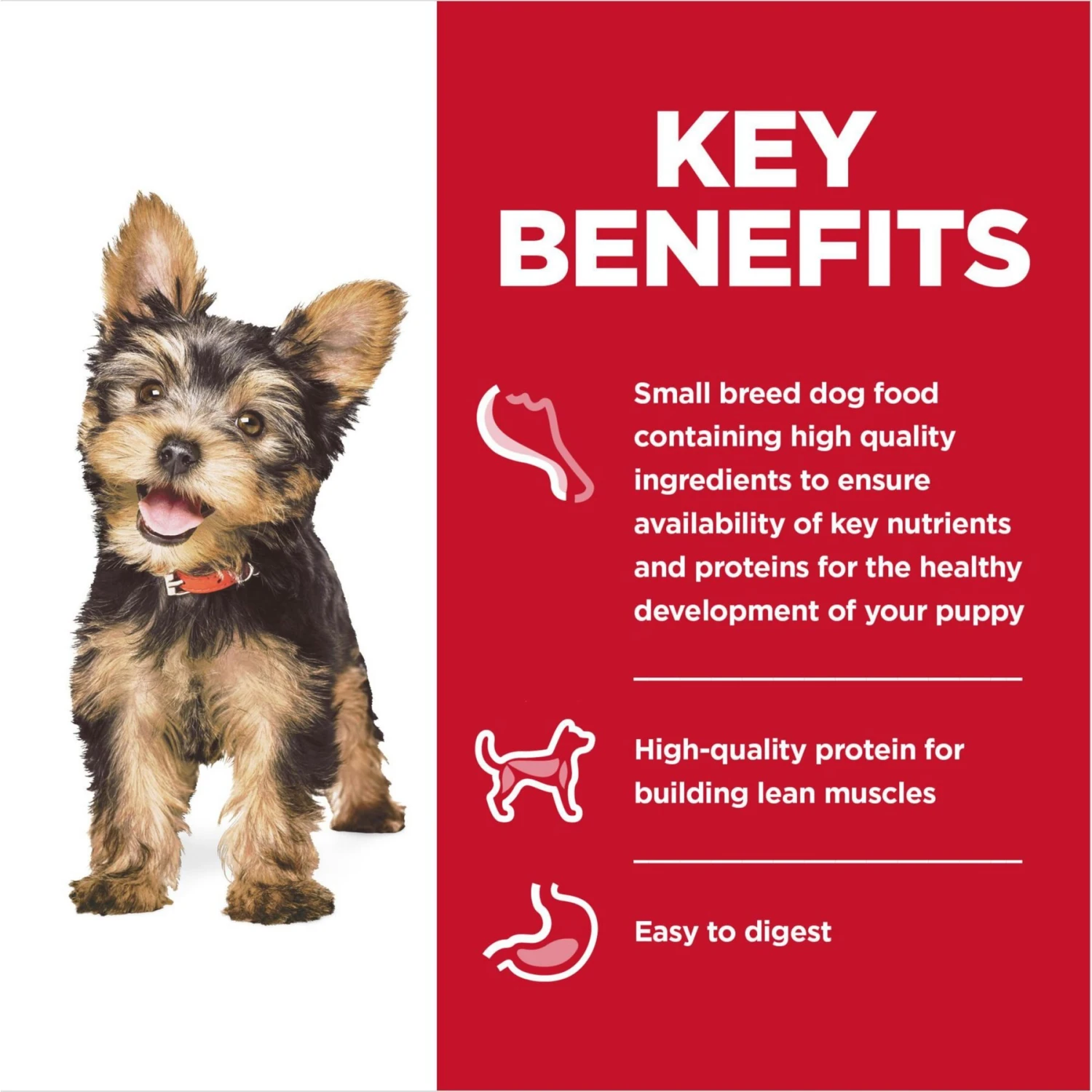 Hill's Science Diet Puppy Small & Mini Savory Stew Chicken & Vegetable Wet Dog Food Trays 7 Hill's Science Diet Puppy Small & Mini Savory Stew Chicken & Vegetable Wet Dog Food Trays - Image 5