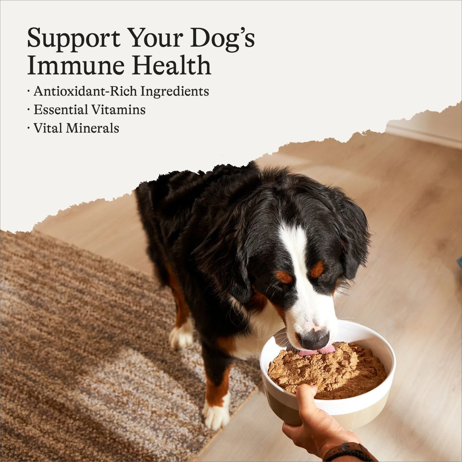 American Journey Limited Ingredient Diet Chicken & Sweet Potato Recipe Grain-Free Canned Dog Food 4 American Journey Limited Ingredient Diet Chicken & Sweet Potato Recipe Grain-Free Canned Dog Food - Image 2