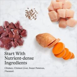 American Journey Limited Ingredient Diet Chicken & Sweet Potato Recipe Grain-Free Canned Dog Food 17 American Journey Limited Ingredient Diet Chicken & Sweet Potato Recipe Grain-Free Canned Dog Food -Blue Buffalo || ROYAL CANIN || Wellness Sales 133873 PT6. AC SS1800 V1696622784