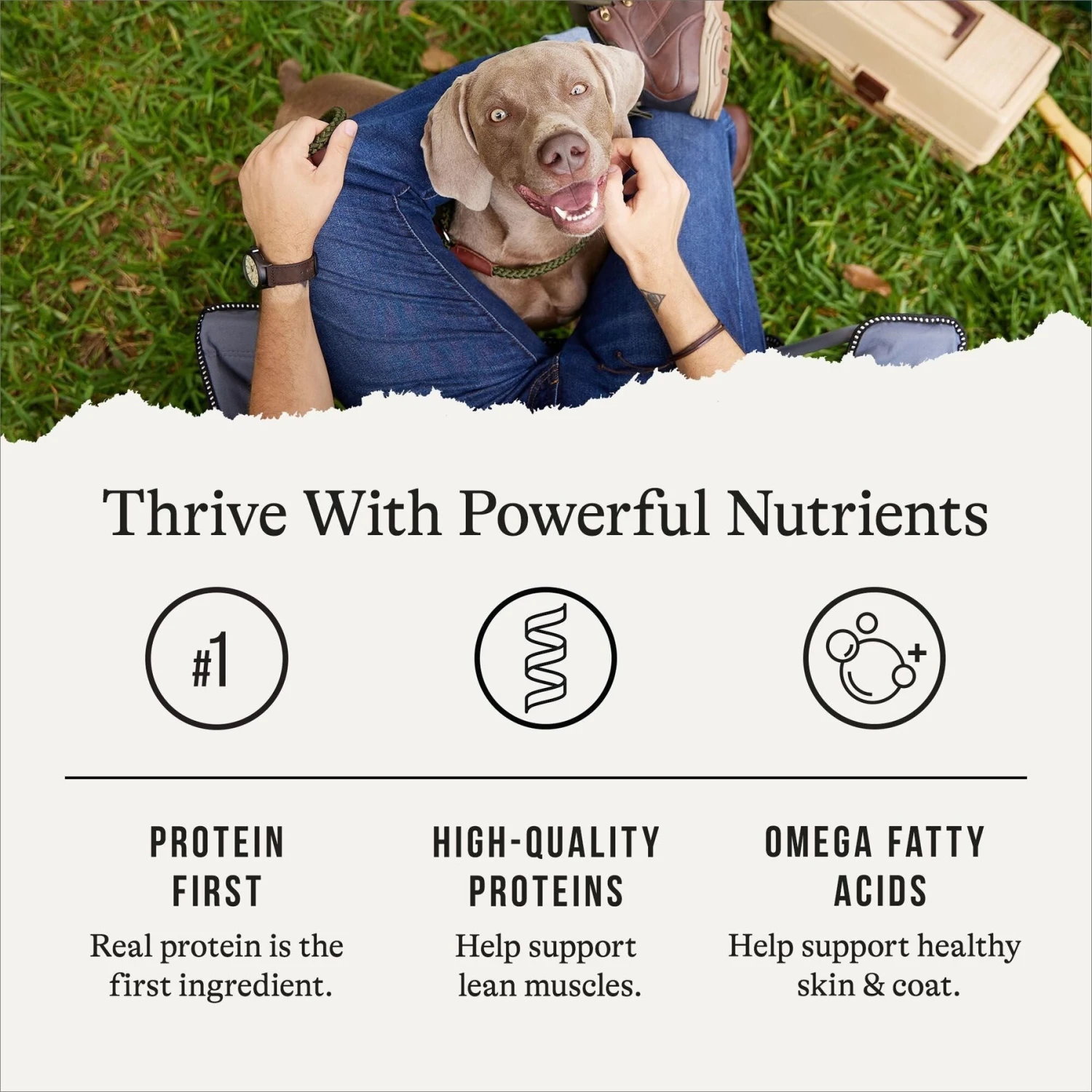 American Journey Poultry & Beef Variety Pack Grain-Free Canned Dog Food 7 American Journey Poultry & Beef Variety Pack Grain-Free Canned Dog Food - Image 5