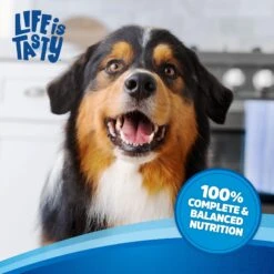 Kibbles 'n Bits Small Breed Mini Bits Savory Beef & Chicken Flavors Dry Dog Food 16 Kibbles 'n Bits Small Breed Mini Bits Savory Beef & Chicken Flavors Dry Dog Food -Blue Buffalo || ROYAL CANIN || Wellness Sales 133998 PT5. AC SS1800 V1693491819