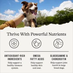 American Journey Large Breed Adult Salmon & Sweet Potato Recipe Grain-Free Dry Dog Food -Blue Buffalo || ROYAL CANIN || Wellness Sales 134061 PT4. AC SS1800 V1665438803