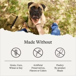 American Journey Large Breed Adult Salmon & Sweet Potato Recipe Grain-Free Dry Dog Food -Blue Buffalo || ROYAL CANIN || Wellness Sales 134061 PT6. AC SS1800 V1680545180