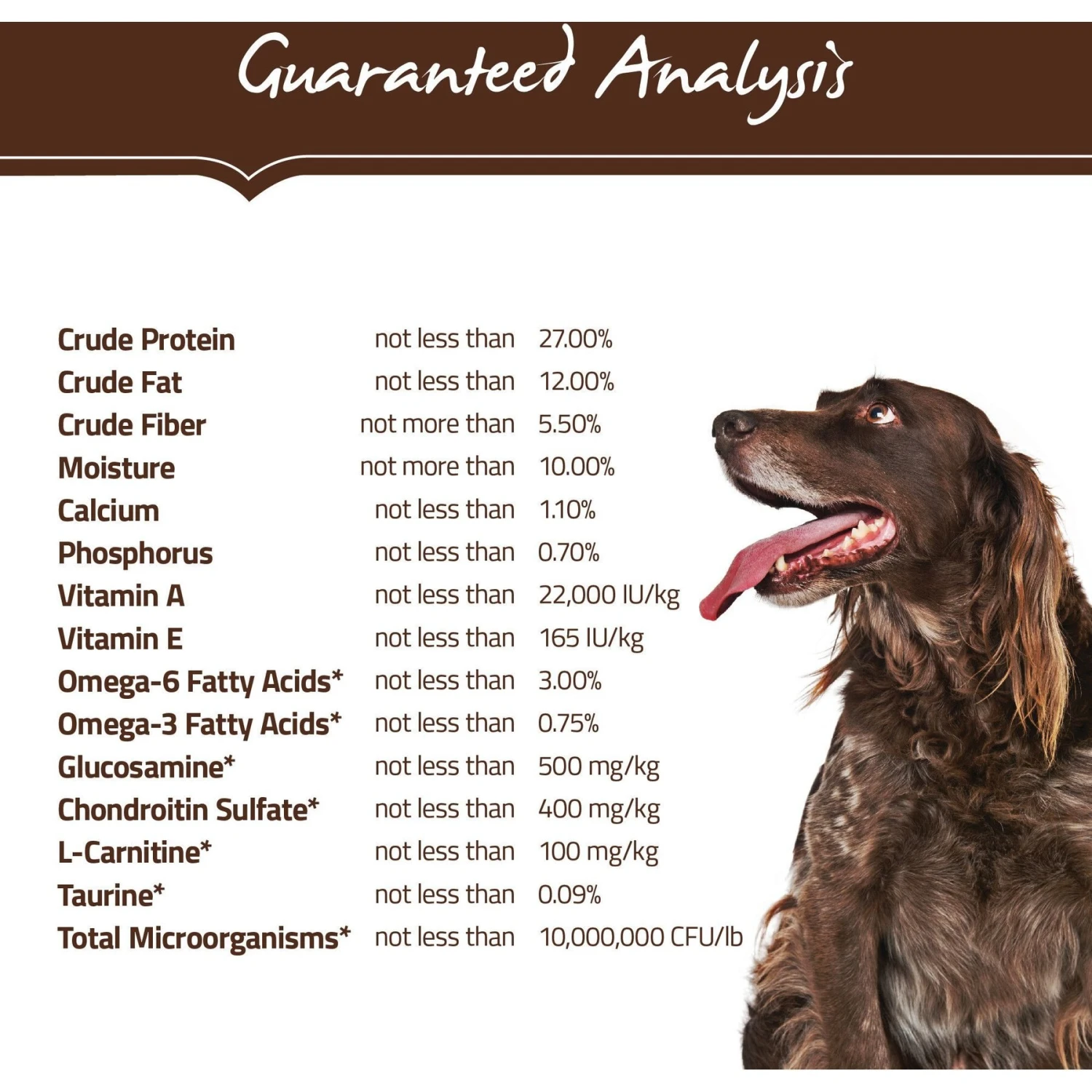 Holistic Select Senior Health Chicken Meal & Lentils Recipe Dry Dog Food 6 Holistic Select Senior Health Chicken Meal & Lentils Recipe Dry Dog Food - Image 4