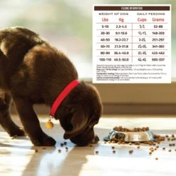 Holistic Select Senior Health Chicken Meal & Lentils Recipe Dry Dog Food 14 Holistic Select Senior Health Chicken Meal & Lentils Recipe Dry Dog Food -Blue Buffalo || ROYAL CANIN || Wellness Sales 134446 PT5. AC SS1800 V1660707237