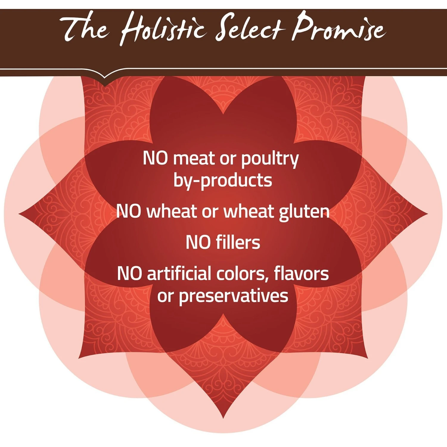 Holistic Select Senior Health Chicken Meal & Lentils Recipe Dry Dog Food 8 Holistic Select Senior Health Chicken Meal & Lentils Recipe Dry Dog Food - Image 6