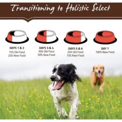 Holistic Select Senior Health Chicken Meal & Lentils Recipe Dry Dog Food 17 Holistic Select Senior Health Chicken Meal & Lentils Recipe Dry Dog Food -Blue Buffalo || ROYAL CANIN || Wellness Sales 134446 PT8. AC SS1800 V1510777688