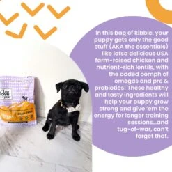 I And Love And You Naked Essentials Puppy Recipe Grain-Free Dry Puppy Food 13 I And Love And You Naked Essentials Puppy Recipe Grain-Free Dry Puppy Food -Blue Buffalo || ROYAL CANIN || Wellness Sales 134894 PT2. AC SS1800 V1692293445