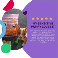 I And Love And You Naked Essentials Puppy Recipe Grain-Free Dry Puppy Food 14 I And Love And You Naked Essentials Puppy Recipe Grain-Free Dry Puppy Food -Blue Buffalo || ROYAL CANIN || Wellness Sales 134894 PT3. AC SS1800 V1692293385