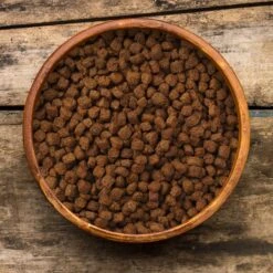 Earthborn Holistic Venture Limited Ingredient Grain-Free Duck Meal & Pumpkin Dry Dog Food 12 Earthborn Holistic Venture Limited Ingredient Grain-Free Duck Meal & Pumpkin Dry Dog Food -Blue Buffalo || ROYAL CANIN || Wellness Sales 135420 PT3. AC SS1800 V1591121766