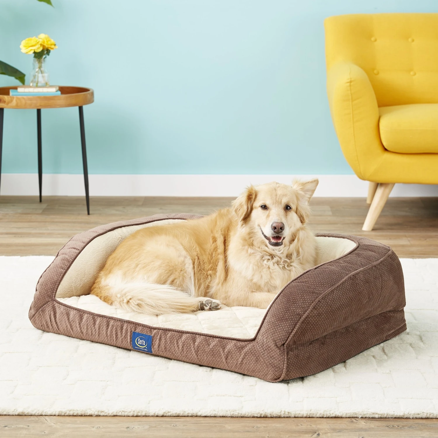 Serta Quilted Orthopedic Bolster Dog Bed With Removable Cover 3 Serta Quilted Orthopedic Bolster Dog Bed With Removable Cover