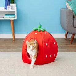 YML Strawberry Covered Cat & Dog Bed -Blue Buffalo || ROYAL CANIN || Wellness Sales 138280 PT3. AC SS1800 V1566337340